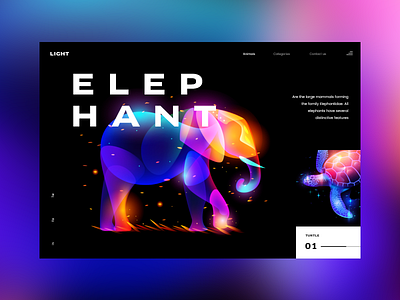 Animal lights: Elephant colorfull colors design slider ui uidesign ux uxdesign