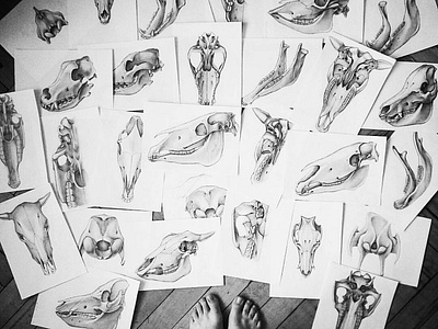 More than 300 illustrations for the anatomical atlas... business design drawing graphic design illustration pencil pencil drawing