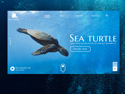 Sea Turtle animation branding graphic design logo ui