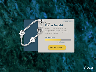 Daily UI Challenge - 32 - Crowdfunding Campaign
