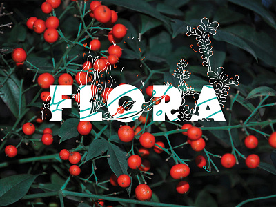 Flora editorial flora flowers illustration leaves nature photography typography