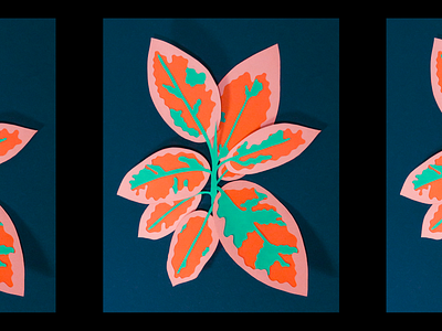 Paper Herbarium art artwork blue color colorful creative design ficus graphic design green handmade illustration nature orange paper pink plants