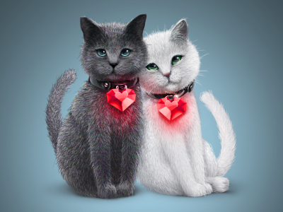 Cats In Love cats gift gray heart love network ruby social withe