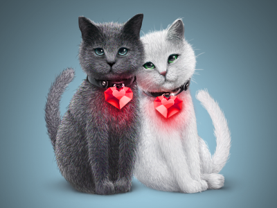 Cats In Love