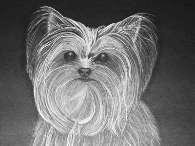 Edith The Dog colored pencil dog illustration