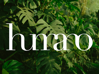 Humano Logotype brand brand and identity human human logo humano idenity logo logotype