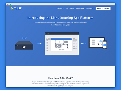 Tulip Website - Platform front end front end development frontend responsive responsive web design responsive website ui ux web web developer website websites