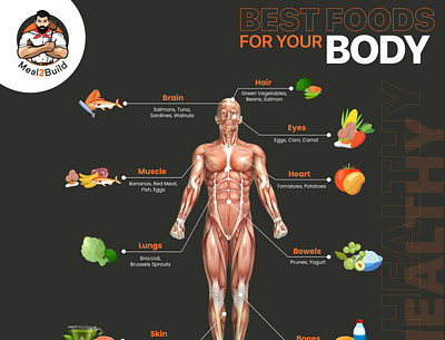 Best foods for your body illustraion illustrator marketing