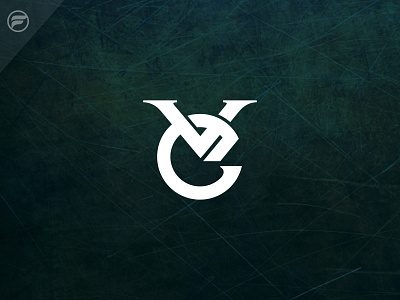 VE LOGO CONCEPT