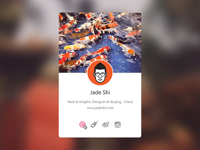 Profile Widget dribbble instagram profile ui