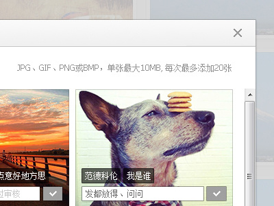 Add Photograph commemorate dog photo picture process sogou upload wallpaper web website