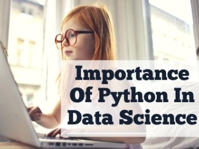 Importance Of Python In Data Science by Brij Bhushan on Dribbble