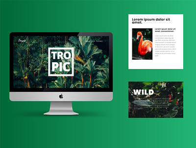 Tropic branding design graphic design ui web web design web ui webdesign website website design