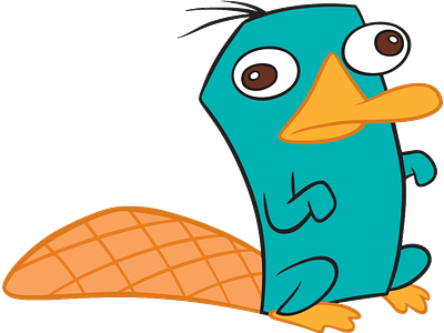 Perry from Phinneas and Ferb illustration random