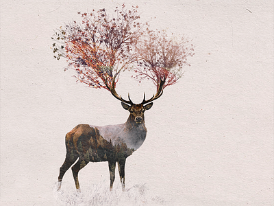 Double Exposure Fairy Deer