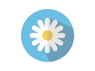 Daisy art daisy design flat flower graphicdesign icon illustration logo vector