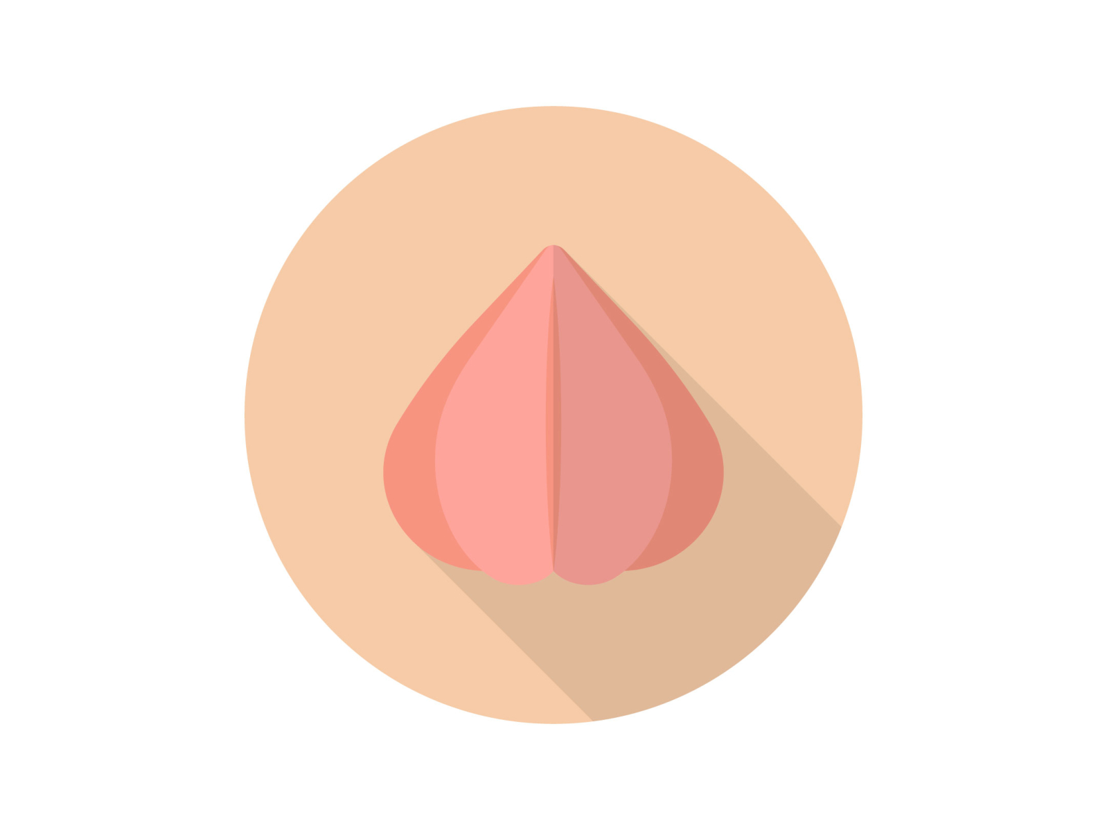 red-onion-by-denav-on-dribbble