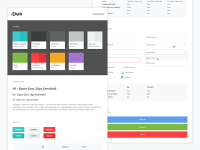 iCouch Style Guide colors elements form guide interface notifications palette style style guide typography ui