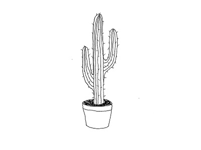 Cactus black black and white cacti cactus drawing illustration line art plant succulent tattoo thorn