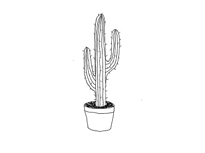 Cactus