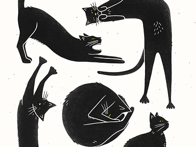 Black Cats cats illustration minimalist