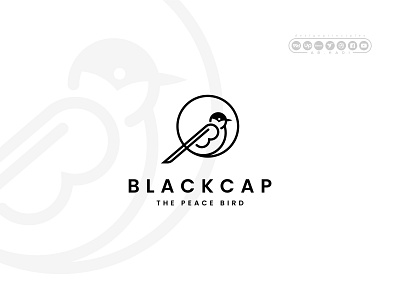 Blackcap ab hadi animal b bird bird logo brand branding design graphic design graphicdesign letter b logo logodesinger peace professionallogo vector