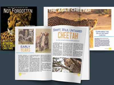 Cheetah color design graphic design magazine magazine cover magazine design mock up typography
