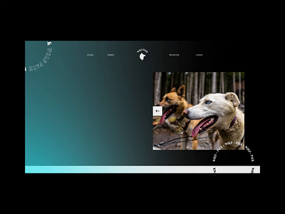 Wolf Pack Landing Page design dogs landing page minimal ui ux web