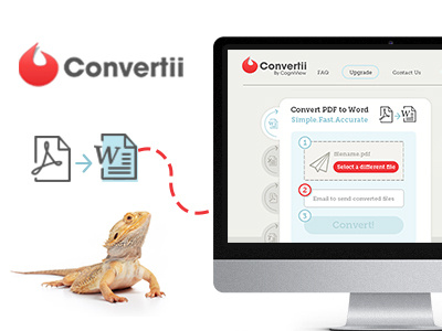 Convertii app design