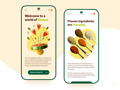Flavour Company Mobile Website mobile design nutrition responsive ui ux web design