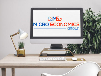 MICRO ECONOMICS GROUP