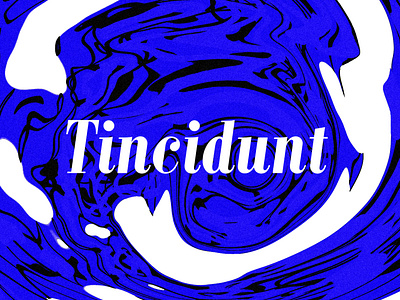 Tincidunt