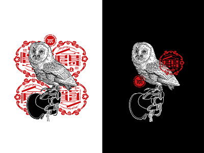 Winston the Barn Owl animal barn owl bird of prey falconry illustration ink illustration owl