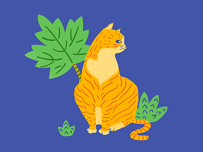 My OrangeCat