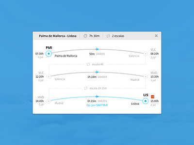 Flight Itinerary