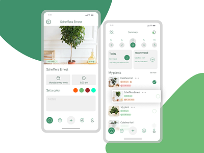 Plant Reminder Application User Interface app design system graphic design plant reminder ui user interface ux