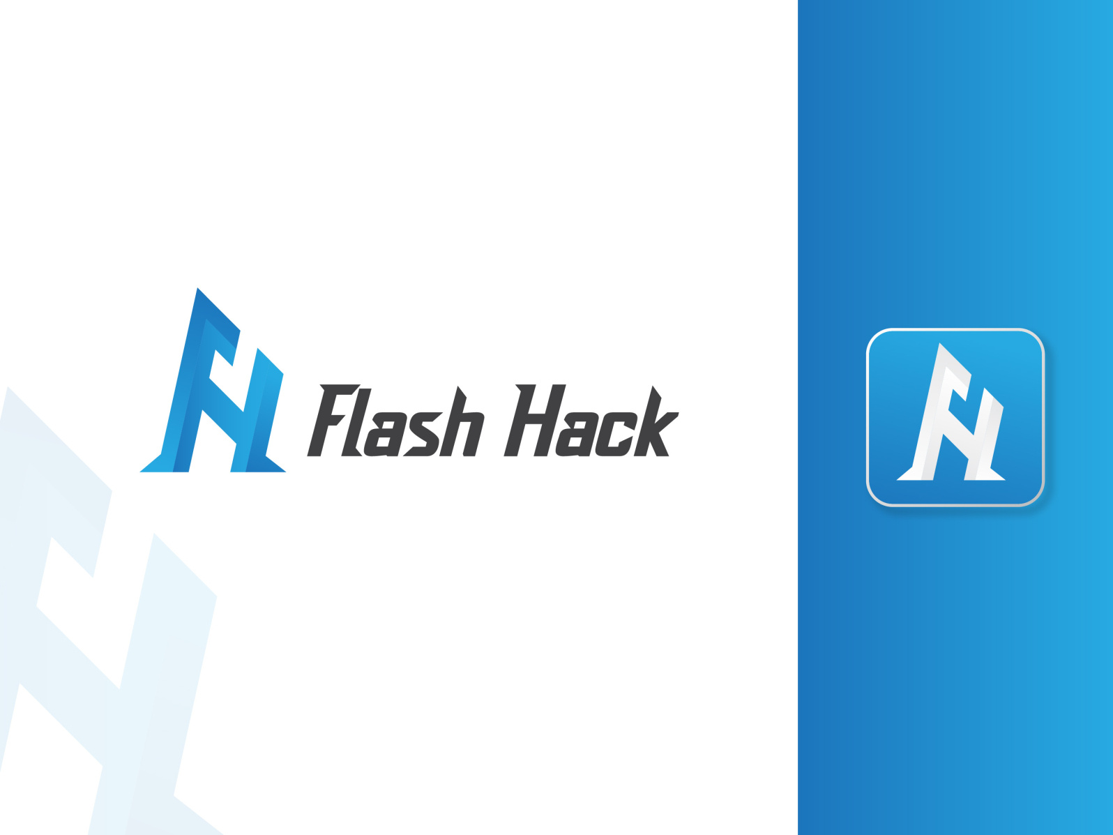 Flash Hack Logo Design by Prem Krishna Das on Dribbble