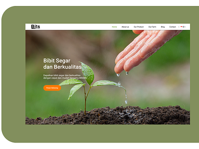 Design UI web bibit design ui web