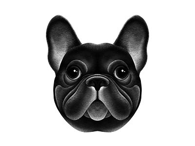 French Bulldog animal apple pencil dog face french bulldog illustration ipad pet pet portrait pets portraits procreate puppy