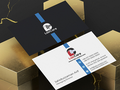 Business Card branding business card design illustration vector visiting card