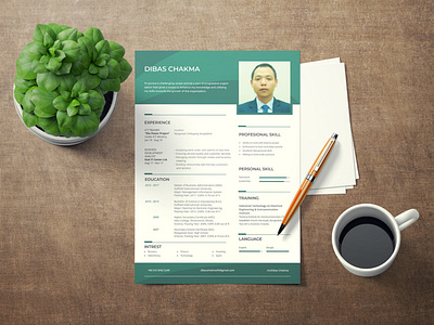 CV Design cv design cv resume template illustration resume design vector