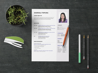 CV Design cv design illustration resume design