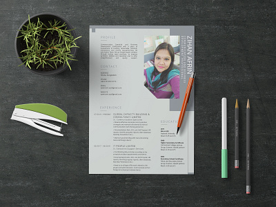 Resume Design cv design illustration resume design