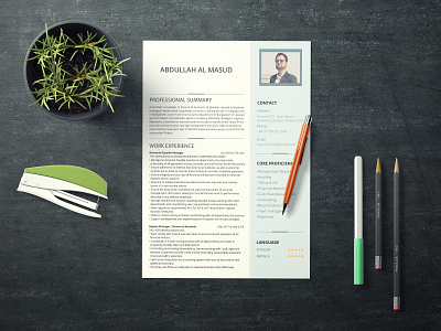 CV Design cv design cv resume template illustration resume design