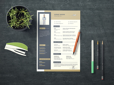 Resume Design cv design cv resume template illustration resume design