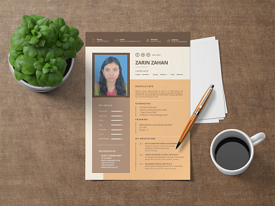 Resume Design cv design cv resume template illustration resume design vector