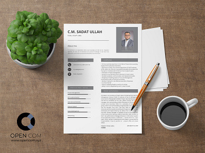 CV Design cv design cv resume template cv template illustration resume design