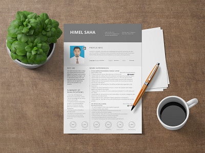 CV Design cv cv design cv resume cv resume template illustration resume design