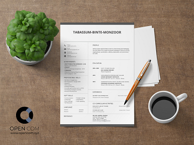 Resume Design cv cv design cv resume cv resume template cv template resume design resume template