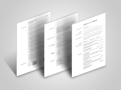 PhD Academic CV cv cv design cv resume cv resume template cv template resume resume cv resume design resume template